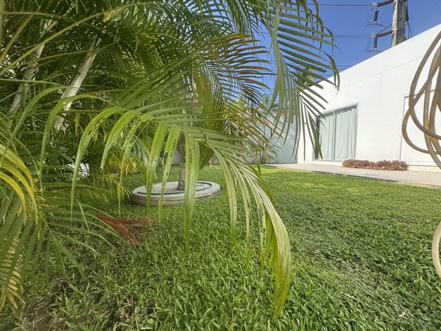 place photo 39