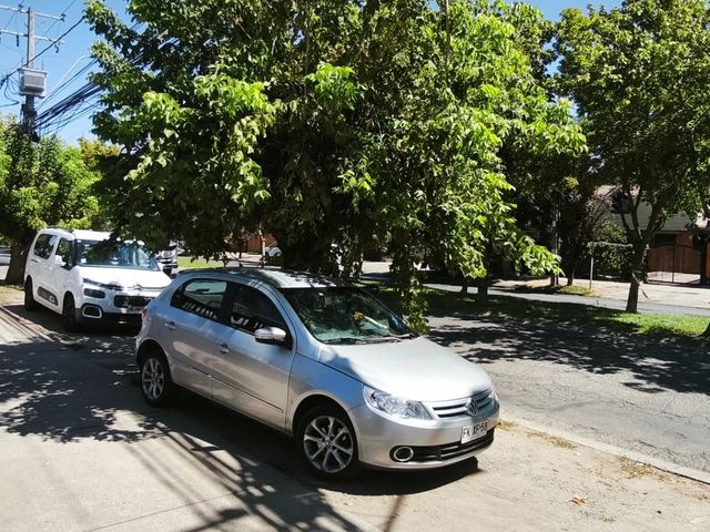 place photo 17