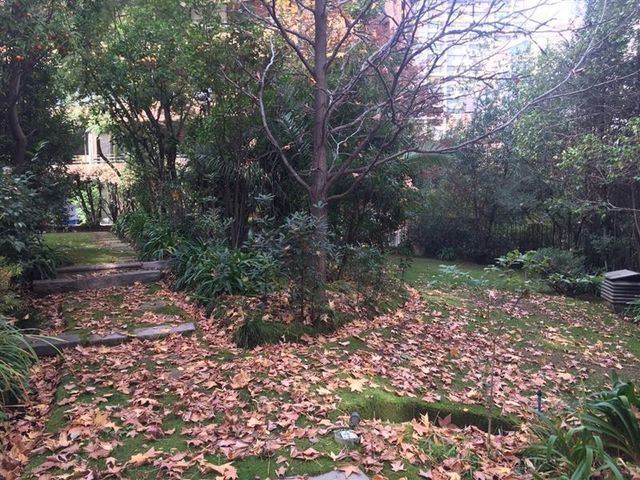 place photo 31