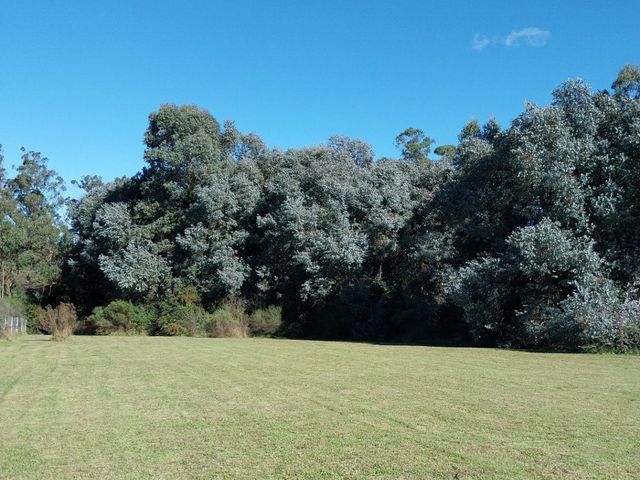 place photo 35