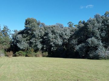 place photo 35