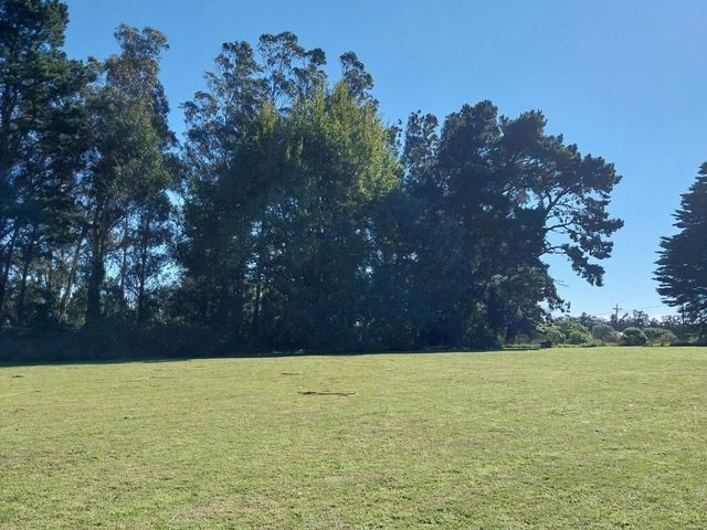 place photo 38