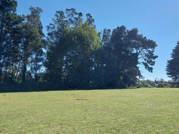 place photo 38
