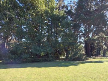 place photo 34