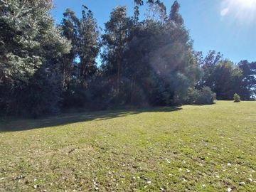 place photo 43