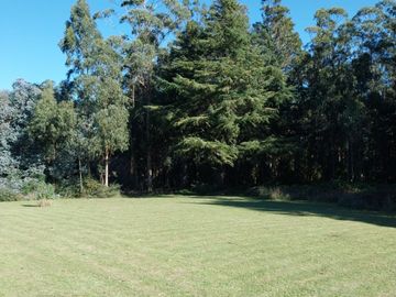 place photo 33