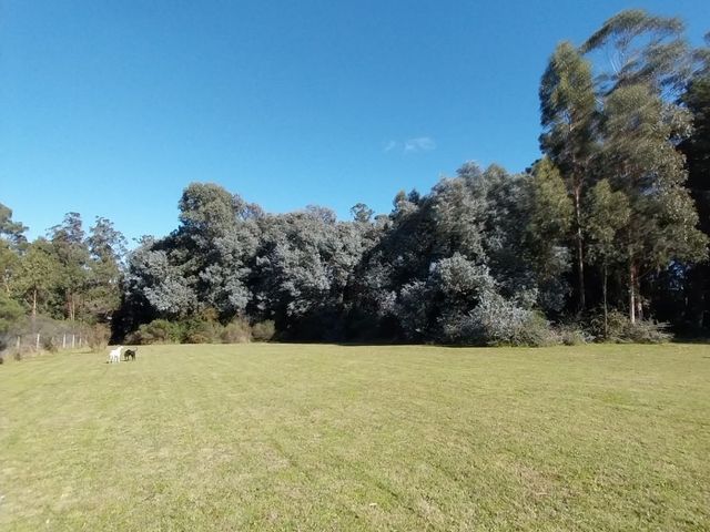 place photo 41