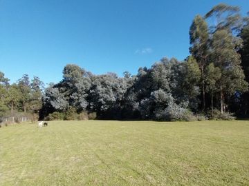 place photo 41