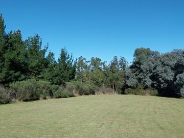 place photo 32