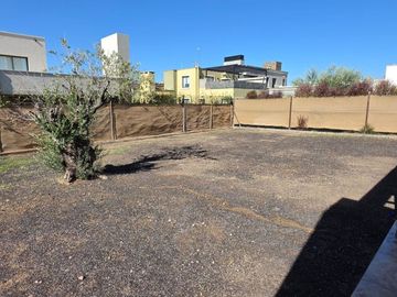 place photo 28