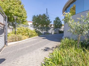 place photo 49