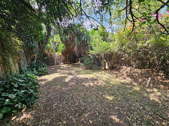 place photo 19