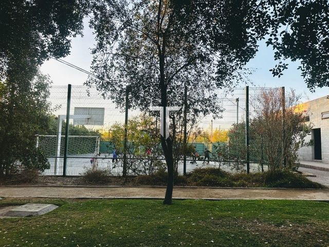 place photo 32