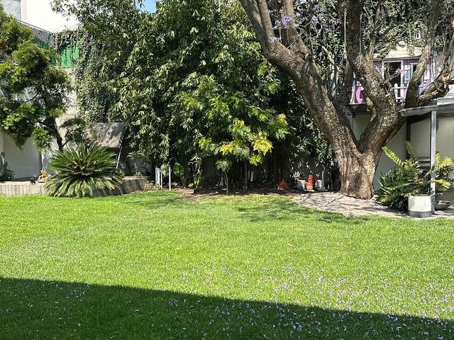 place photo 25