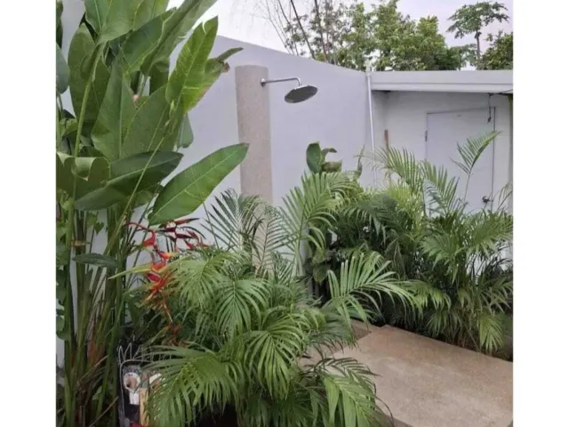place photo 26