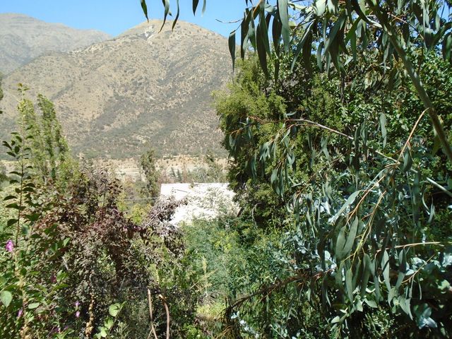 place photo 47