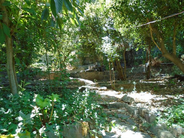place photo 45
