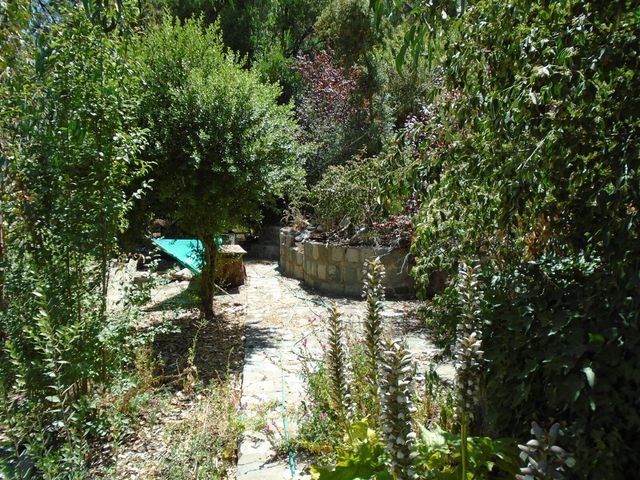 place photo 44