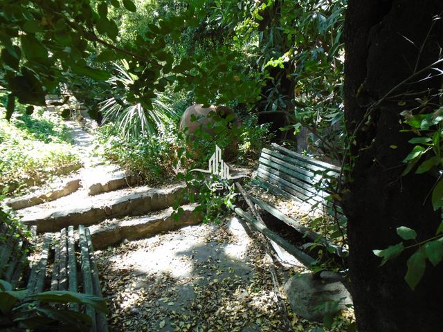 place photo 42