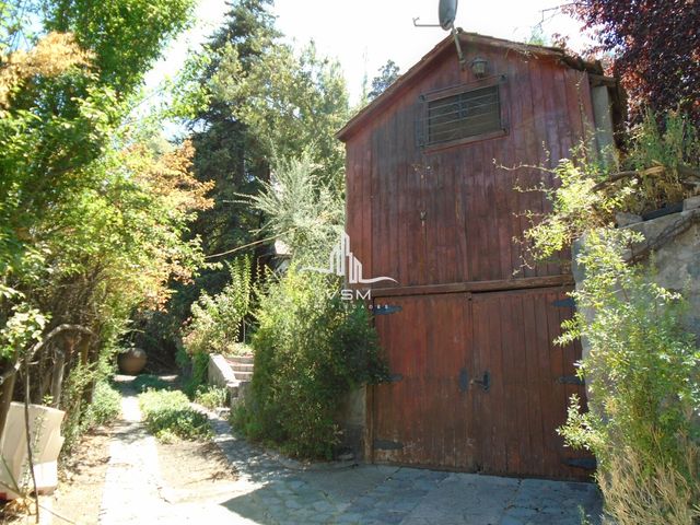 place photo 54