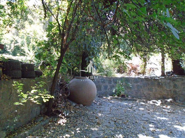 place photo 38