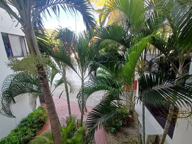 place photo 15