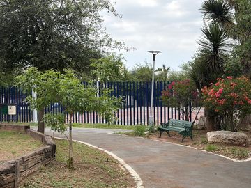 place photo 21