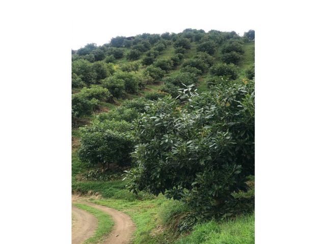 place photo 34