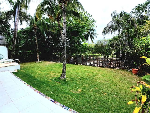 place photo 26