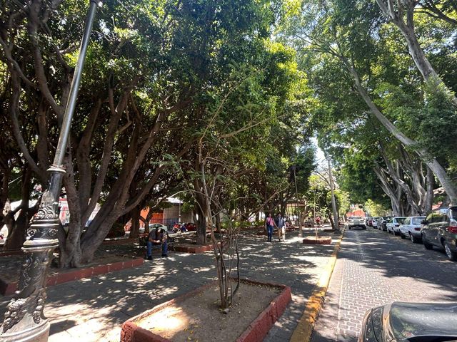 place photo 30