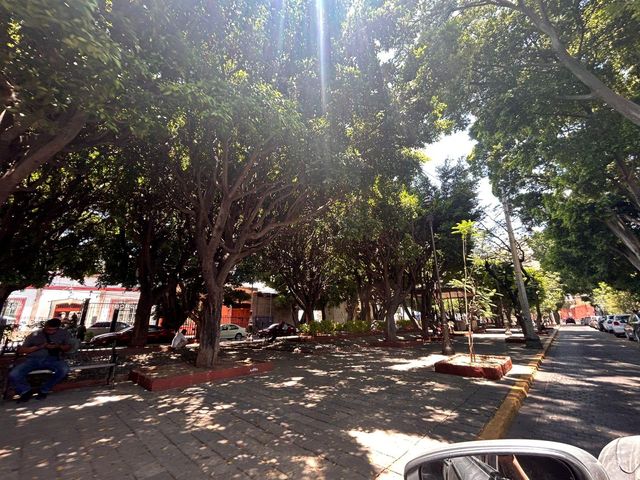 place photo 32