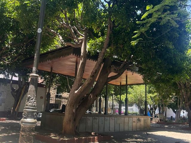 place photo 31