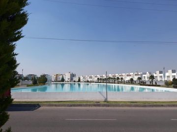 place photo 39