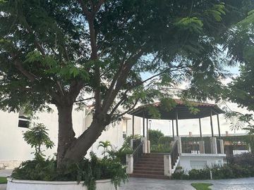 place photo 25