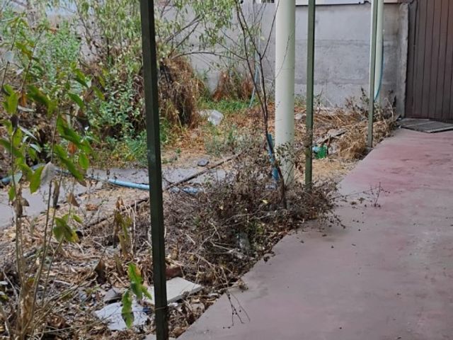 place photo 23