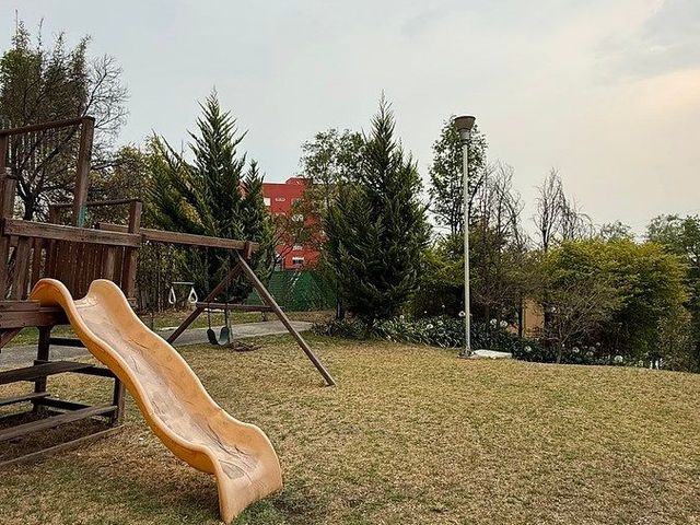 place photo 22
