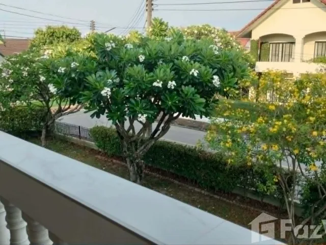 place photo 50