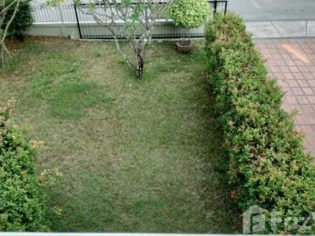 place photo 42