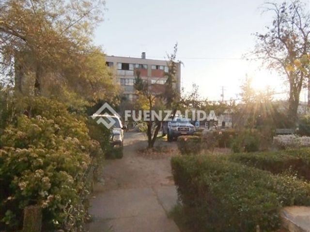 place photo 24