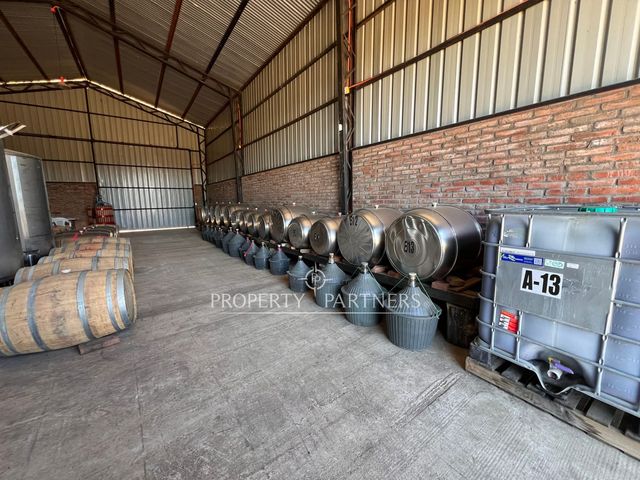 place photo 23