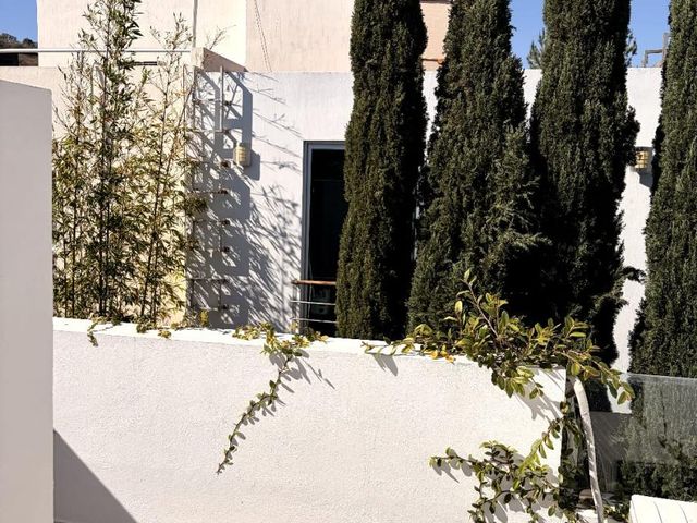 place photo 38