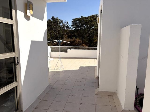 place photo 40
