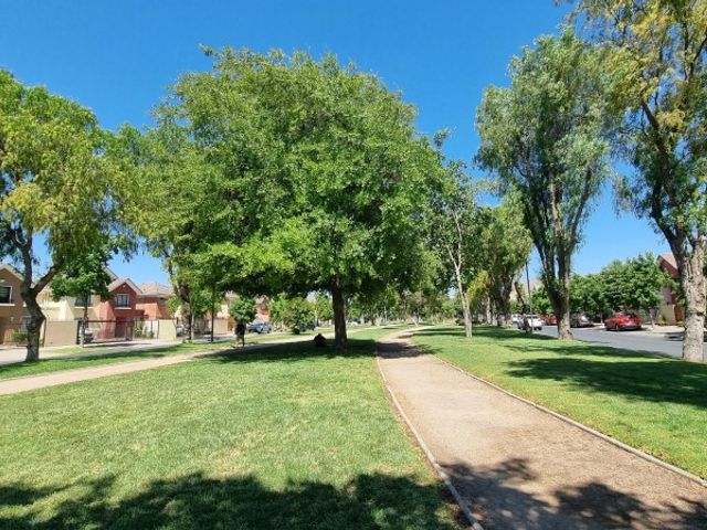 place photo 29