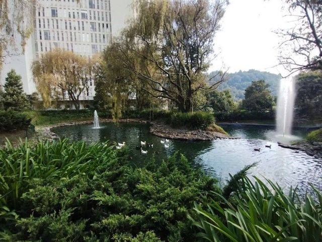 place photo 31