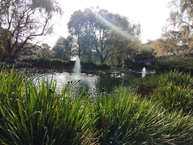 place photo 30