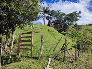 place photo 77
