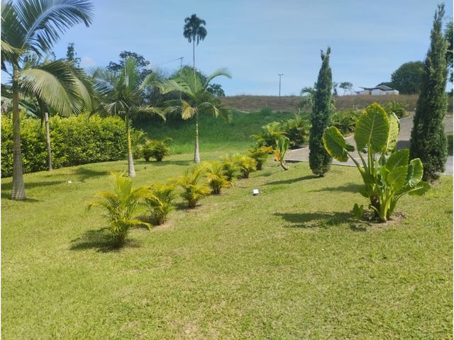 place photo 53