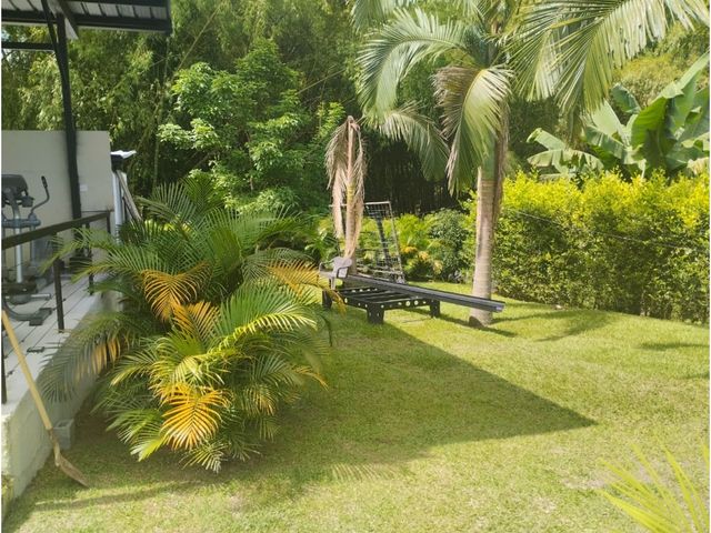 place photo 54