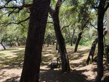 place photo 67