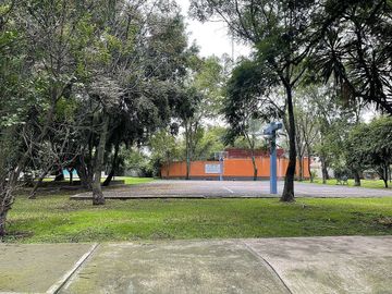 place photo 43